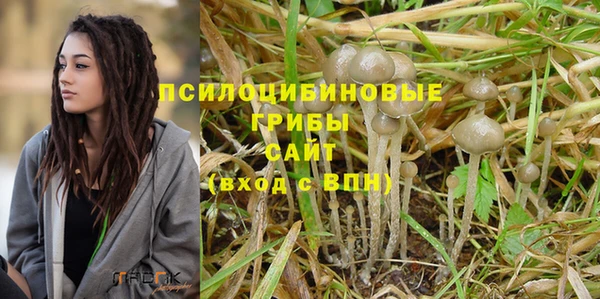 гидра Алзамай