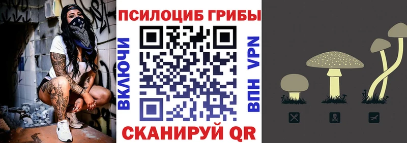 OMG ссылки  Мантурово  Псилоцибиновые грибы Cubensis 